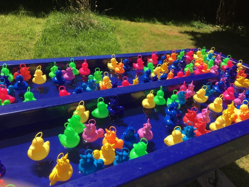 pêche aux cannards